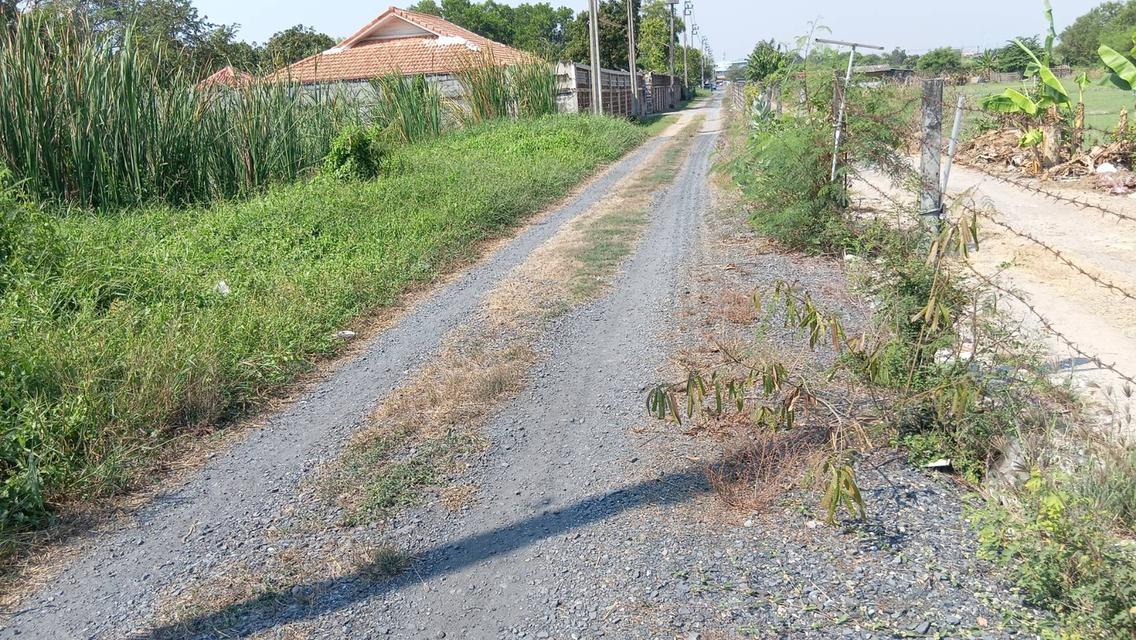 ที่ดิน กรุงเทพมหานคร 3