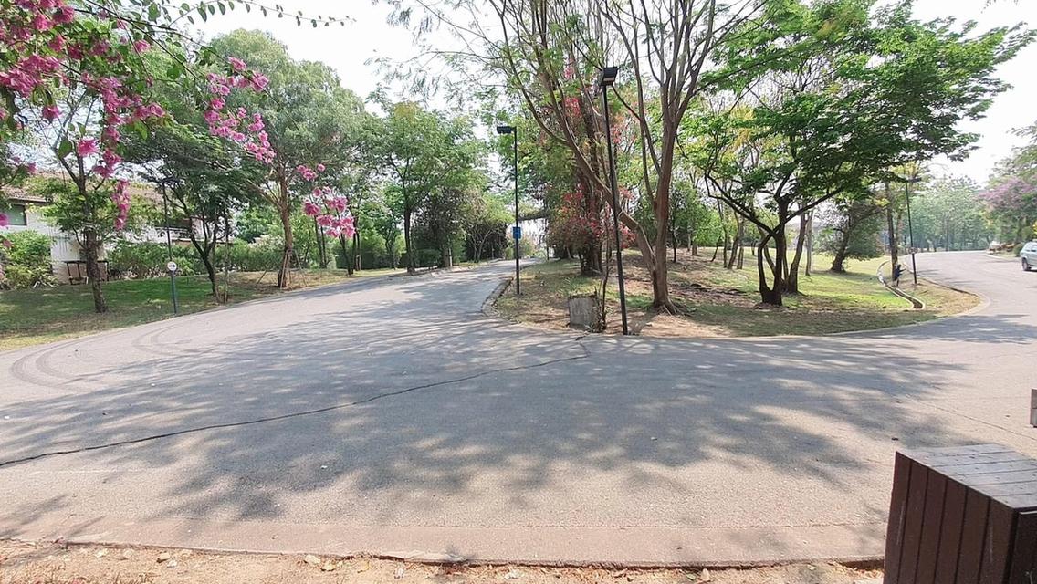 บ้านเดี่ยวในหมู่บ้านหรู 2 ชั้น 5 นอน 5น้ำ 2 จอด 20