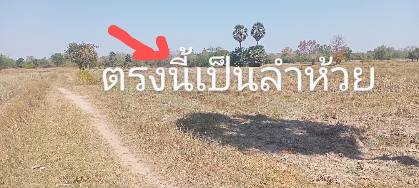 ที่ดิน ทำการเกษตร ปลูกบ้านอาศัย หรือทำร้านพานิชย์ 3