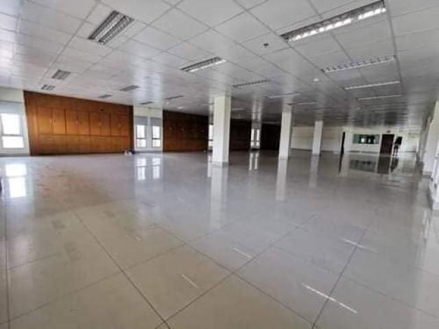 ขาย ด่วนออฟฟิศพร้อมบ้านเดี่ยว สุขุมวิท 101 บ้านเดี่ยวมีสระว่ายน้ำส่วนตัว โทร 095-164-2956 HHH 2