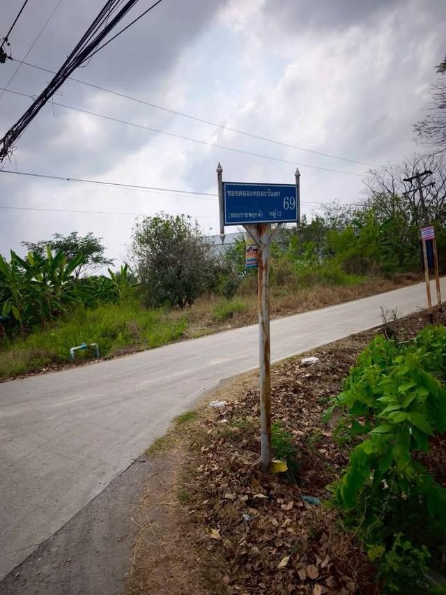 ขายด่วนที่ดิน 156 ตารางวา ติดถนนสาธารณะ แปลงมุม คลองหกตะวันตก 69 คลองหลวง ปทุมธานี 8