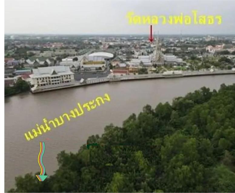 ขายที่ดินแปลงสวยติดแม่น้ำบางปะกง อ. เมือง จ.ฉะเชิงเทรา 6