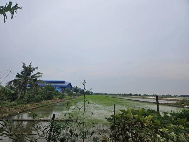 ขายโรงงานบนที่ดิน 30 ไร่ พื้นที่สีม่วงจังหวัดฉะเชิงเทรา มีใบอนุญาตประกอบการ
