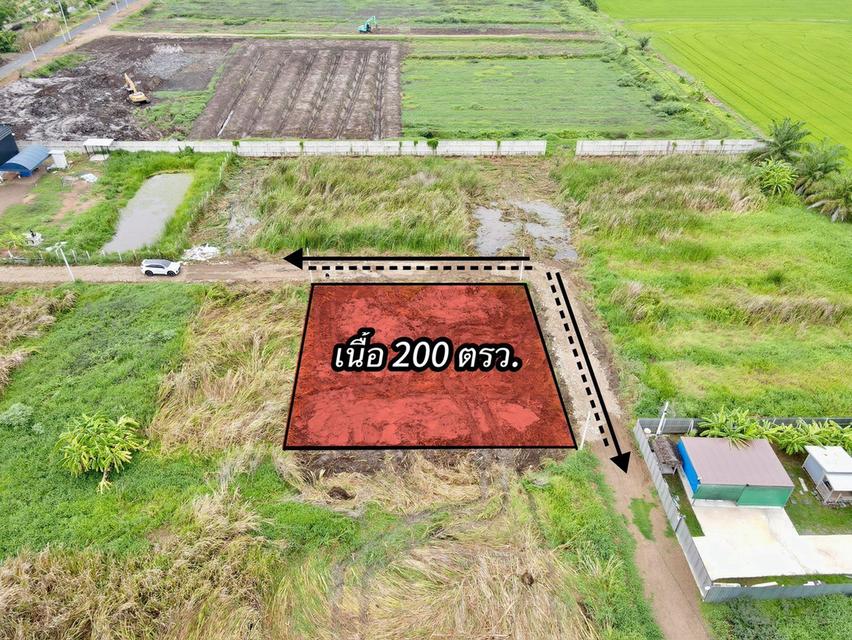ที่ดินแปลงเล็ก เหมาะทำบ้านพัก ซ.พนารัตน์คลอง 9 อ.หนองเสือ จ.ปทุมธานี 2