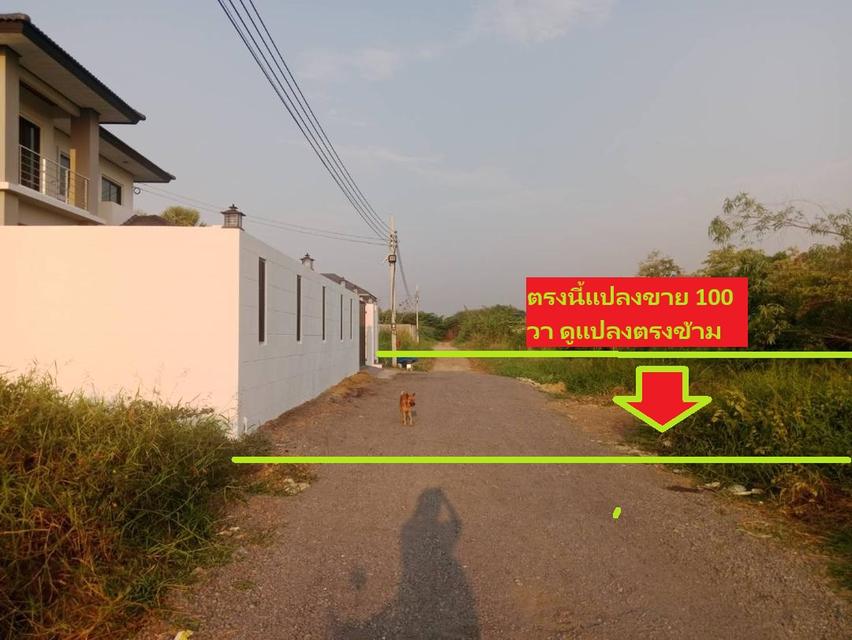ขายที่จัดสรรแปลงสร้างบ้าน พหลโยธิน 54/1แยก 8-4-3 เข้าสายไหมซอย 6 ขนาด 100 ตารางวา สาธารณูปโภคครบ ที่จัดสรร 20x20 เมตรตรงข้ามเป็นบ้านสร้างใหม่ขนาดใหญ่ 9