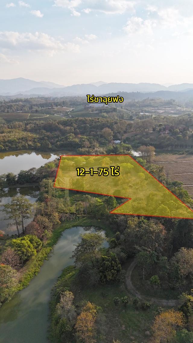 ประกาศขายที่ดิน ทำเลศักยภาพ ใกล้ไร่ชาฉุยฟง ตำบลศรีค้ำ อำเภอแม่จัน จังหวัดเชียงราย 57110 1