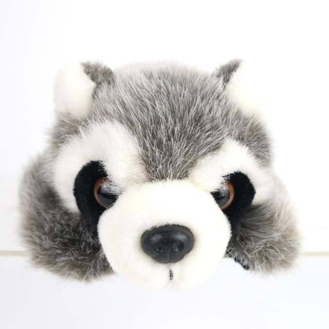 ตุ๊กตา แรคคูน 🦝 Raccoon ~ THE STUFFED ANIMAL HOUSE ~ Realistic Wildlife Plush ~ Standard 21 cm 💦 รูปที่ 8