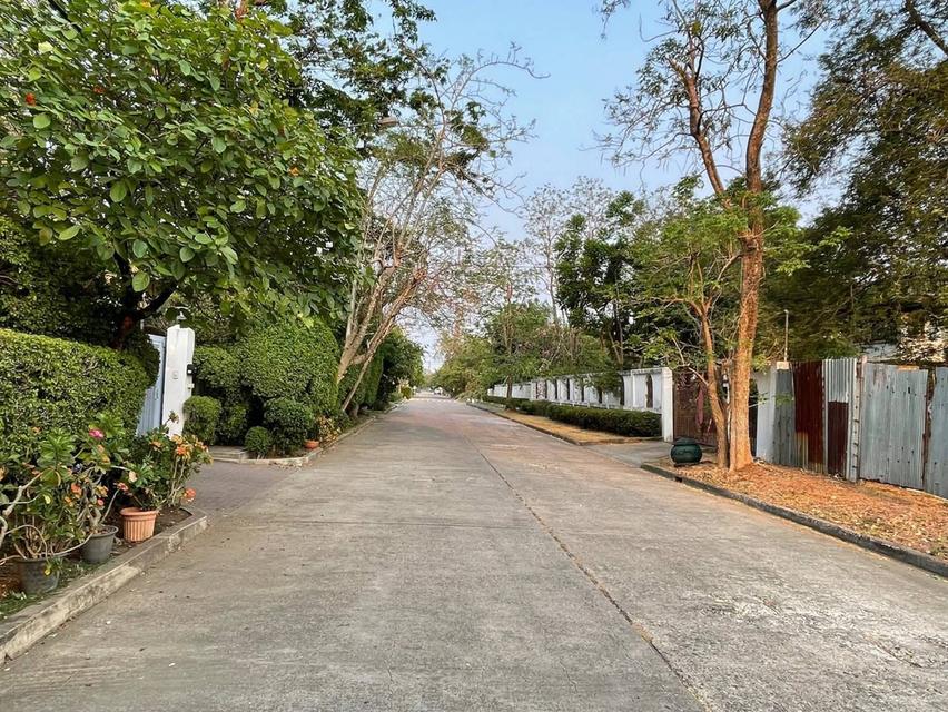 ขายที่ดินหมู่บ้านเสรีวิลล่า Seri Villa ศรีนครินทร์55 หน้าสวนหลวง ร.9 ที่ดิน 296ตร.ว ใกล้รถไฟฟ้าMrt 800ม. อยู่หลังพาราไดซ์พาร์ค ใกล้ซีคอน อุดมสุข บางนา 1