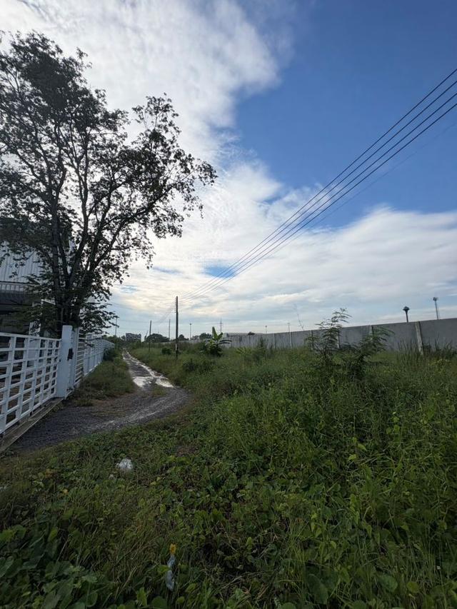 ขายที่ดินถมแล้ว 2 แปลงติดกัน พร้อมโฉนด คลอง 5 ธัญบุรี 2 งาน 80 ตรว. เข้าออกได้ 2 ทาง ใกล้มอเตอร์เวย์ ฟรีโอน 8