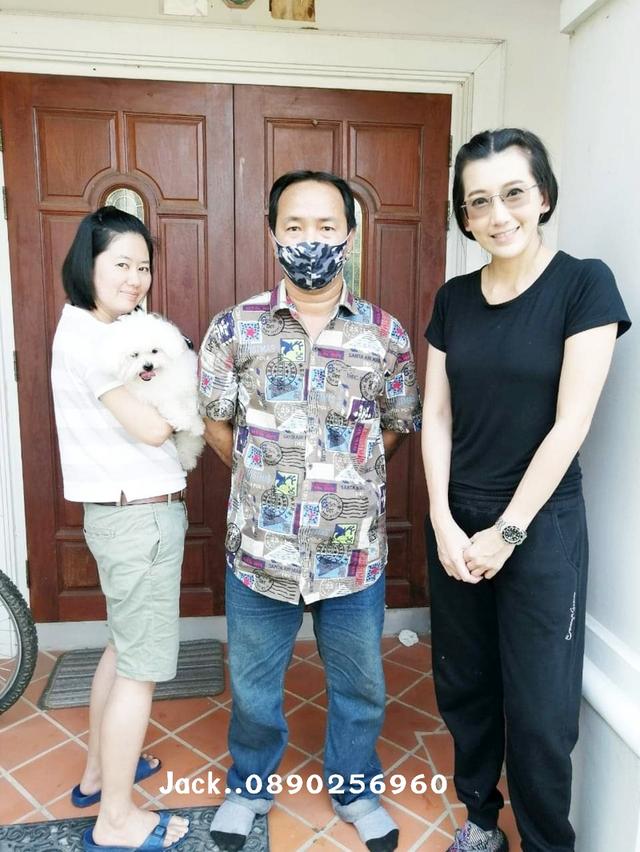 รับจับสุนัขผสมพันธ์ทุกสายพันธ์