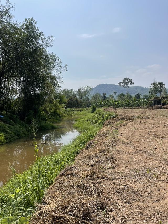 ที่ดินเหมาะกับการทำโฮมสเตร์ 1