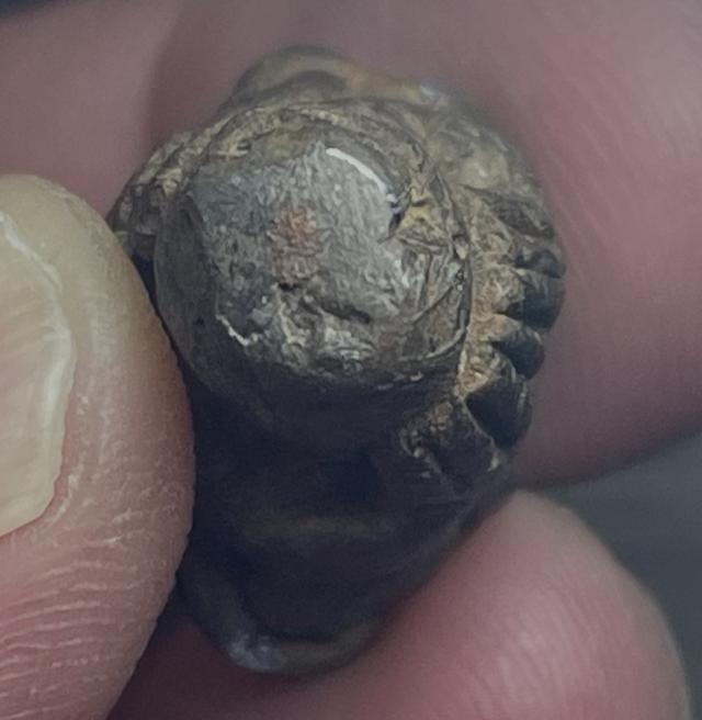 พระปิดตาหลวงปู่จันทร์ วัดโมลี รูปที่ 6