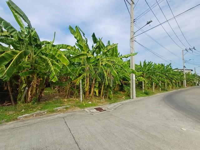 ขายที่ดินเปล่า 416 ตร.ว. (1 ไร่) ถมแล้ว ซอยนาคนิวาส 21 ถนนกว้าง น้ำไม่ท่วม 6