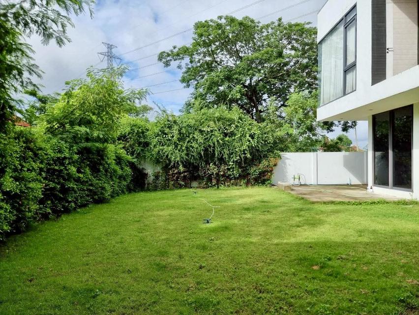 100 ตรว. บ้านเดี่ยวสันกำแพง ✨ Modern Luxury ขาย 12 ล้าน* 2