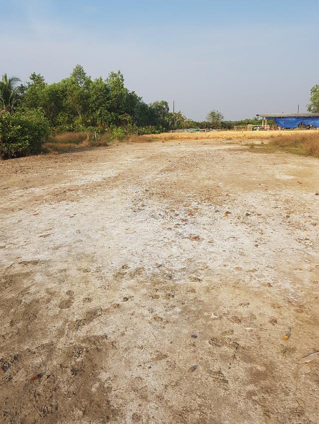 ที่ดินเปล่าถมแล้ว 100 วา เหมาะสร้างบ้าน มีชุมชน หลังวัดเขาน้อย บางกะจะ เมืองจันทบุรี 1