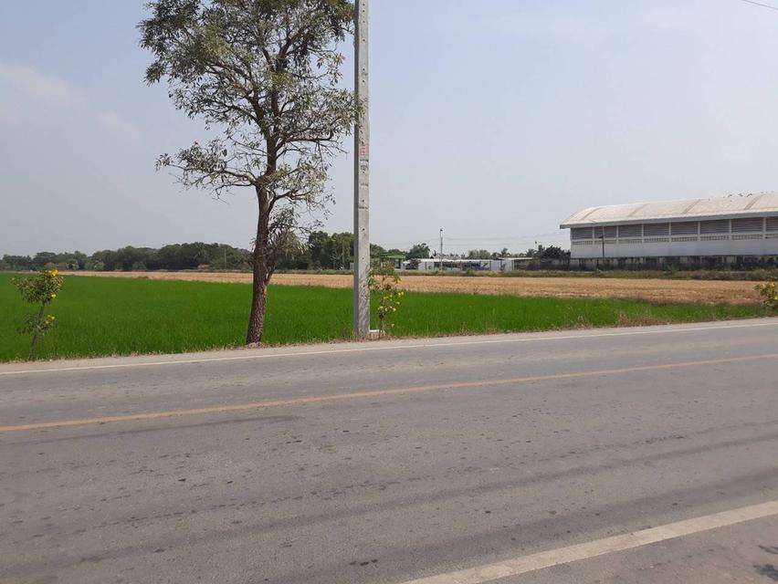 ขายที่ดิน 14 ไร่ 3 งาน 63 ตารางวา ปทุมธานี บางเตย สามโคก ติดสนามยิงปืนราชสีห์ 2