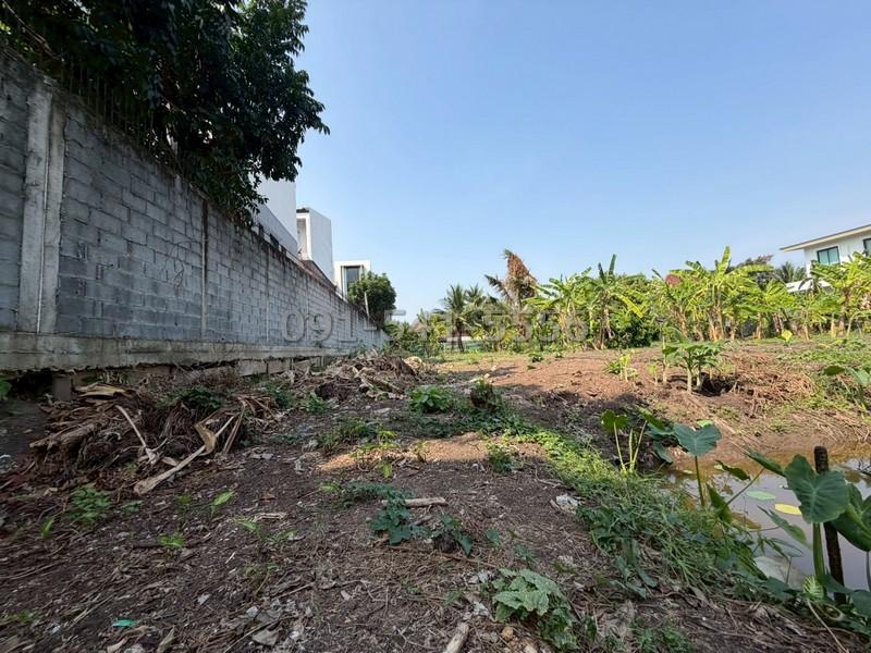 ขายที่ดิน 3 แปลง 554 ตรว ซอยกรุงเทพนนท์ 2 แยก 3 ติดถนนสาธารณะ ทำเลศักยภาพ ใกล้เมือง เดินทางสะดวก 8