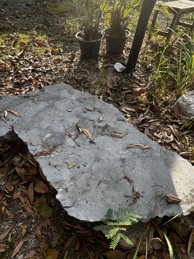 ของเก่า งาน vintage ขายถูกๆๆ หมดสัญญาเช่าร้าน รูปที่ 16