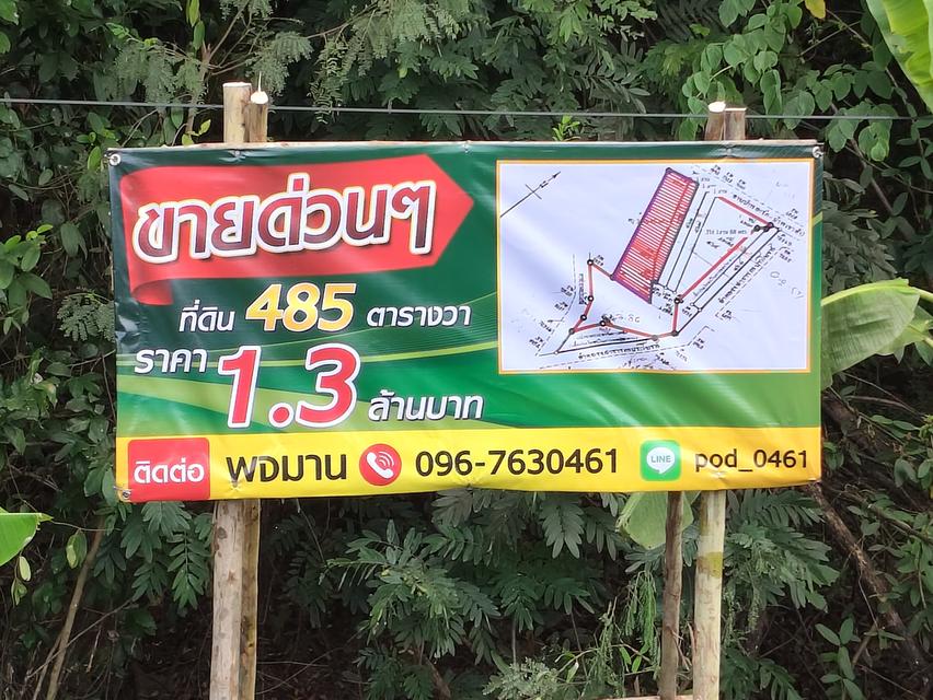 ที่ดิน 1 ไร่ 85 ตารางวา ต.ดอนทอง อ.เมือง พิษณุโลก 1