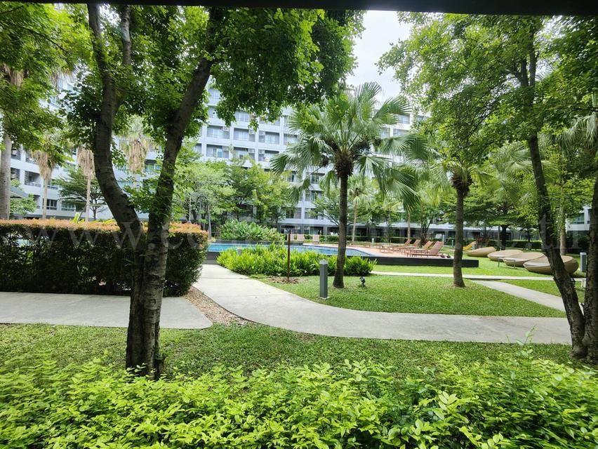 คอนโด เอลลิโอ เดล เรย์ สุขุมวิท 64 ใกล้ รถไฟฟ้า BTS ปุณณวิถี 7