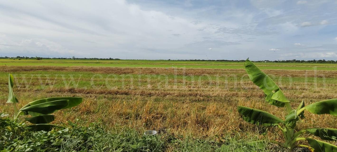 ที่ดินเปล่า 4 ไร่ 28.3 ตร.วา บางเลน นครปฐม ราคาถูก 7