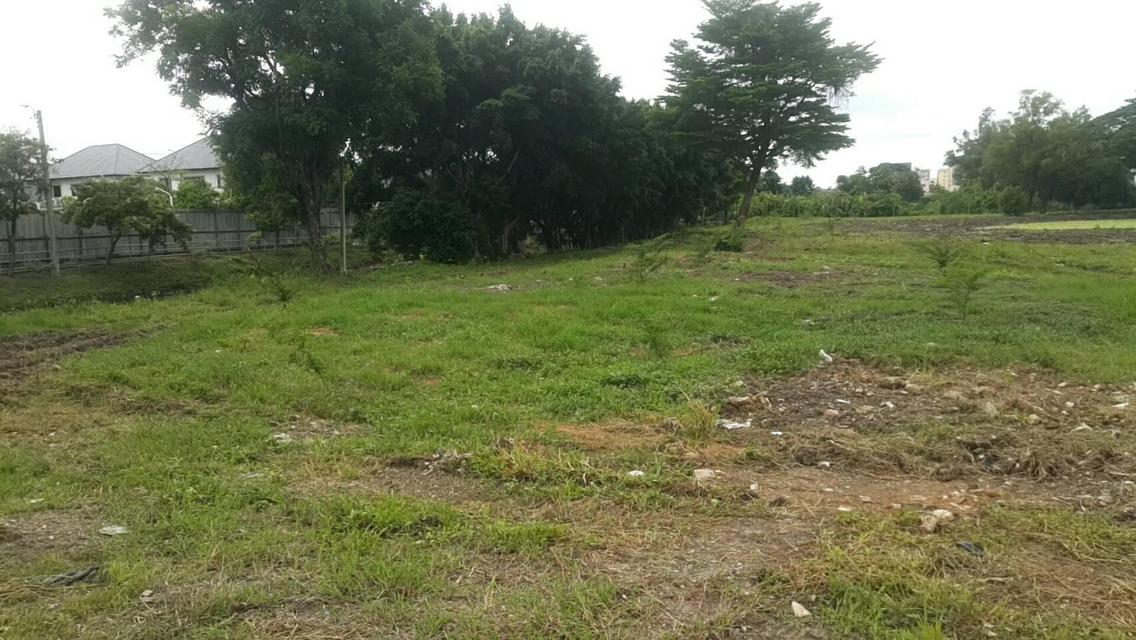 ขายที่ดิน 16ไร่สวยมาติดถนนกาญจนาภิเษก 200 มห่างจากห้างแฟชั่น ไอร์แลนด์ราว 3.5 กิโลเมตร  ถนนใหญ่เสรีไทย ราว 1.1 กิโลเมตร (จากที่ดินซอยกาญจนาภิเษก 11/5) 10