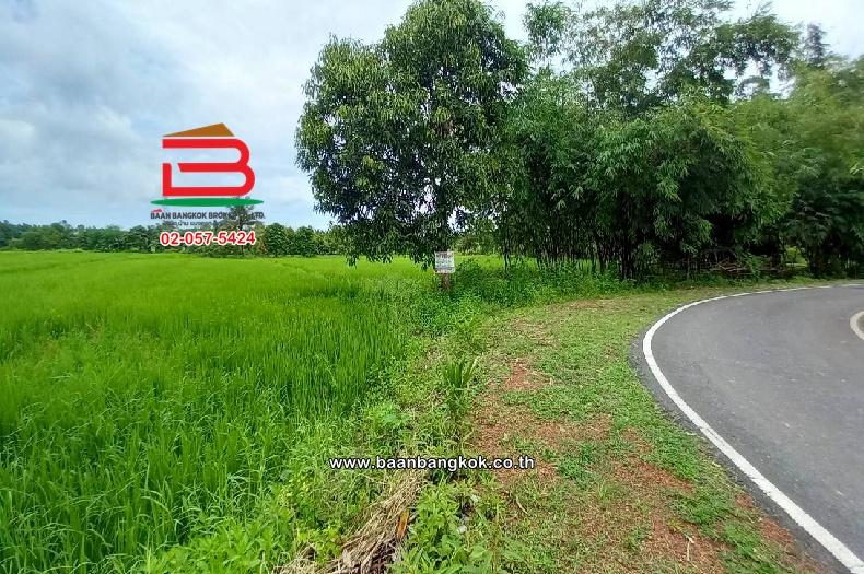 ที่ดินเปล่า บ้านเนินหอม(ม.4) เนื้อที่ 29-0-52 ไร่ ( เทศบาลซอย 12) ตำบลเนินหอม อำเภอเมืองปราจีนบุรี ปราจีนบุรี 5