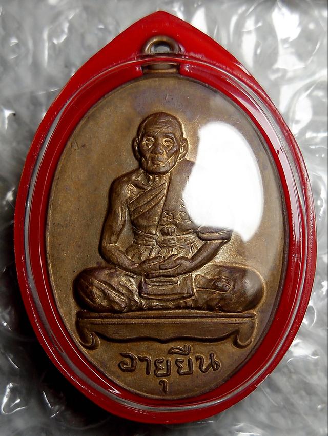 เหรียญอายุยืนหลวงปู่สี วัดเขาถ้ำบุญนาค