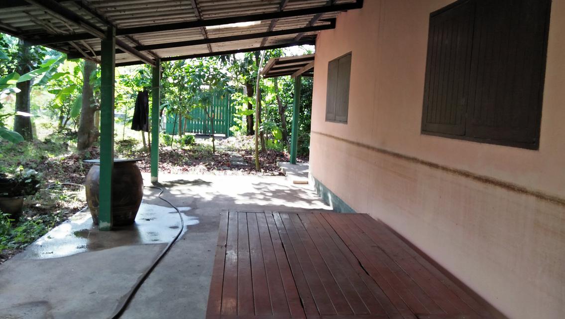 Sale land and small house can adapt will be Home stay Nakhon 3