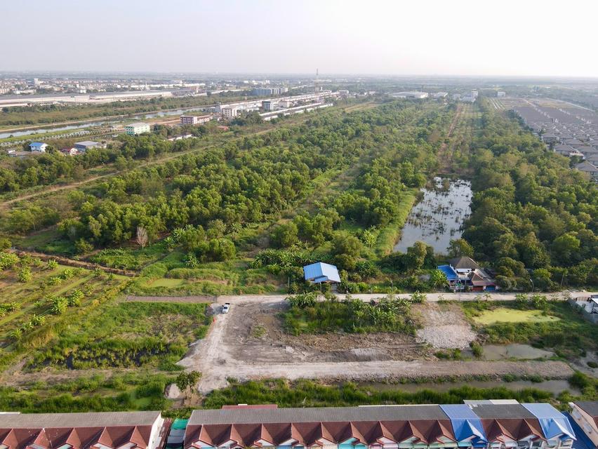 ที่ดินทำเลทอง คลอง 6 ใกล้ ม.ราชมงคล ธัญบุรี 11