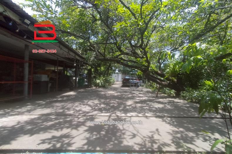 ที่ดินพร้อมสิ่งปลูกสร้าง ลาดพร้าว 64 แยก 10 เนื้อที่ 256 ตรว. เขตบางกะปิ กรุงเทพมหานคร 1