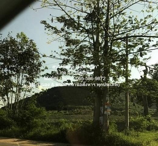 ขายที่ดินเปล่าปากน้ำปราณ (ห่างชายทะเลปากน้ำปราณ 3 กม.) 200 ตร.ว. 3