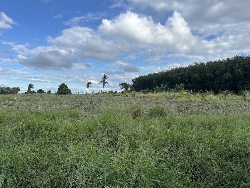 ที่ดินใกล้นิคมอีสเทิร์นซีบอร์ด ชลบุรี-บ่อวิน 6