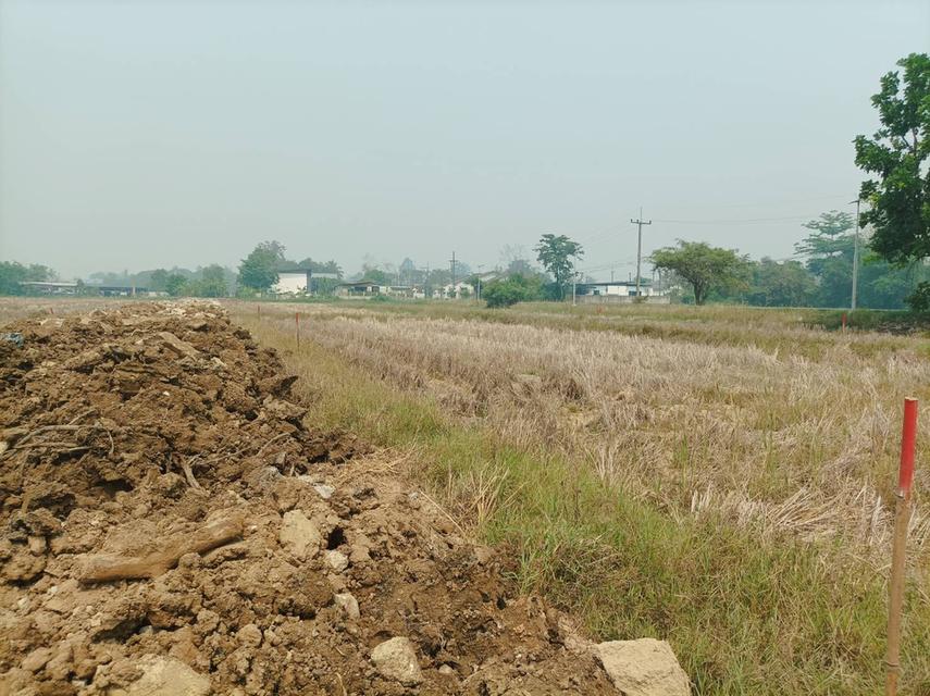 ขายที่ดิน 9,900บาท/ตร.ว. ต.สันปูเลย อ.ดอยสะเก็ด จ.เชียงใหม่ 6