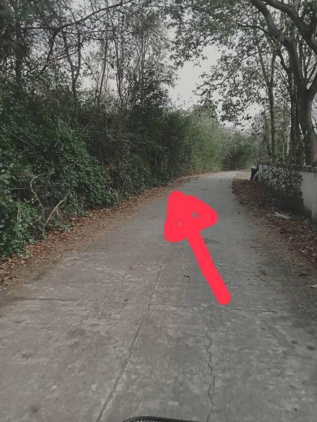 ที่ดินในพื้นที่ อำเภอหล่มเก่า จ.เพชรบูรณ์ 8