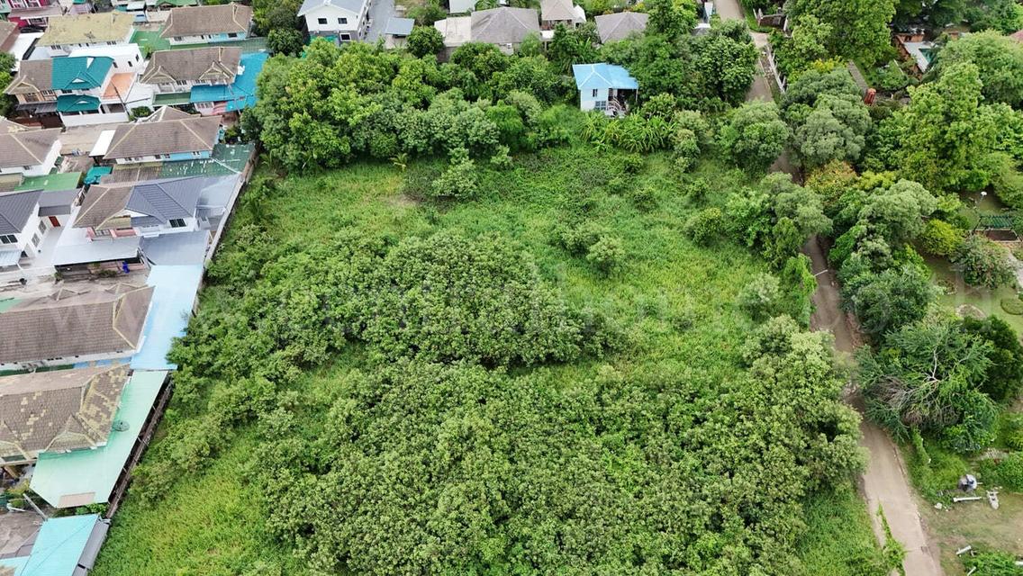 ที่ดินเปล่า 700 ตร.วา บางใหญ่ - นนทบุรี ถมแล้ว  4