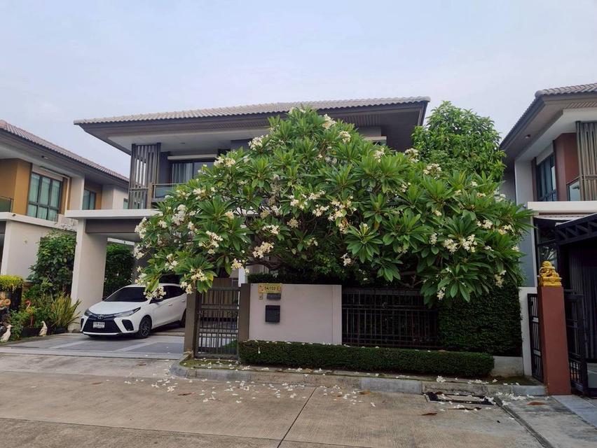 บ้านบุราสิริ 345 (ราชพฤกษ์) 3