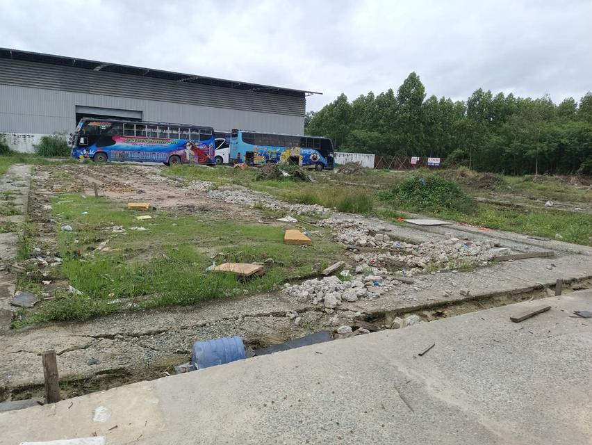 ที่ดินติดถนนคอนกรีต20เมตร บางปลา65 ถ.เทพารักษ์ บางพลี สมุทรปราการ 2