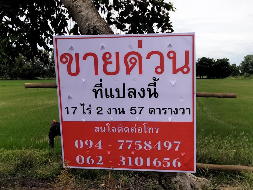 ที่นา จังหวัดชัยนาท 17 ไร่ 2 งา 57 ตารางวา (เจ้าของขายเอง) 4