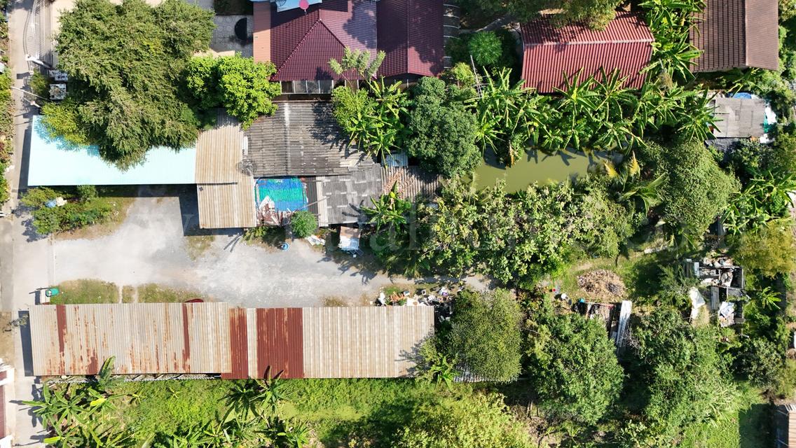 ที่ดิน 1 ไร่ ซอย สุคนธวิท 29 กระทุ่มแบน - สมุทรสาคร ราคาถูก 10