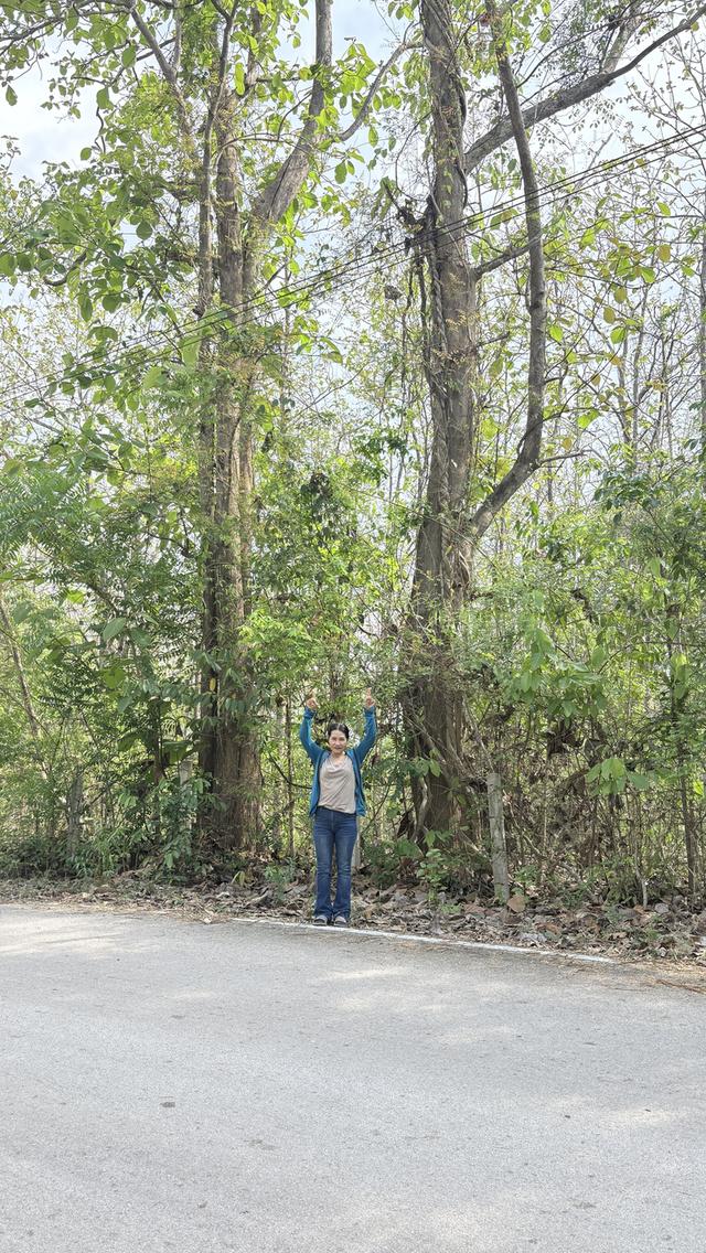 ที่ดิน 11 ไร่ ติดถนนดำ น้ำไฟพร้อม 3