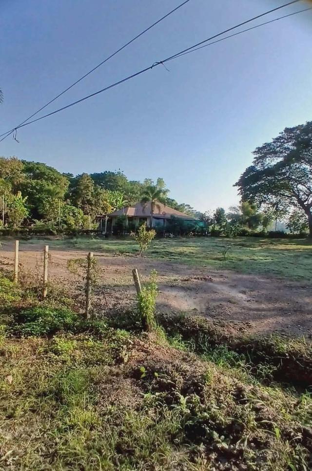 ขายที่ดินเปล่า อ แม่ริม ด้านหน้าติดถนน ด้านหลังติดแม่น้ำ  ติดเขตชายแดน อ.สันทราย เชียงใหม่ 9