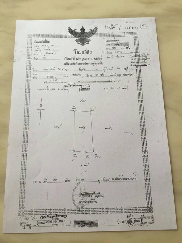 จ.เชียงราย ขายที่ดิน383ไร่พร้อมโครงการ 19
