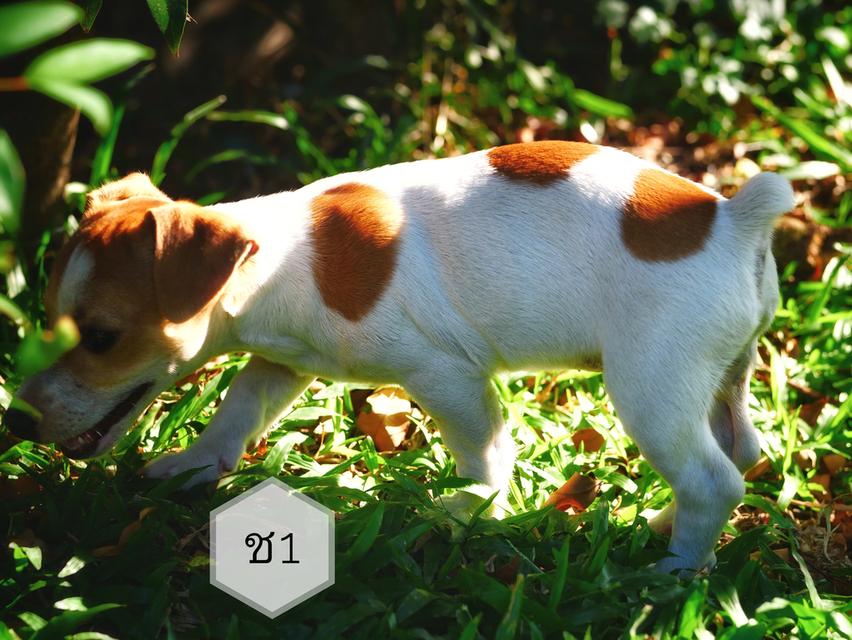 mini product image 3