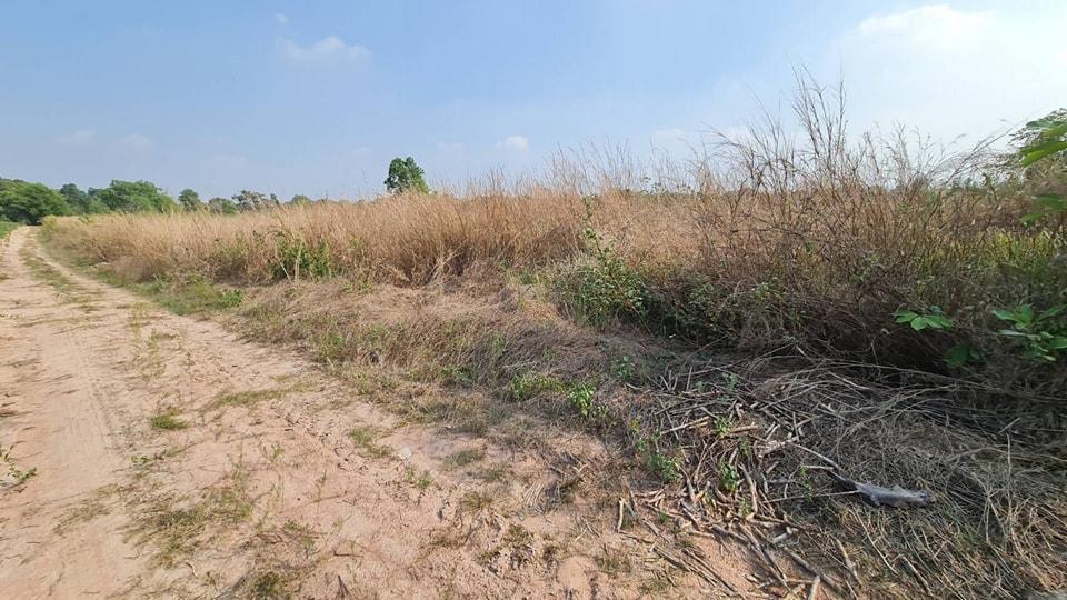 ขายที่ดินสะพานหิน 3 ไร่ ใกล้วิวเขา ใกล้ถนนสุวรรณศร33(เครือสหพัฒน์)-9กม. อ.นาดี ปราจีนบุรี 6