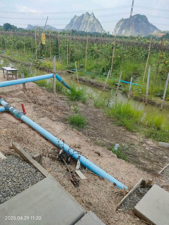 ที่ดินทำสวนฝรั่ง จ.ราชบุรี 14