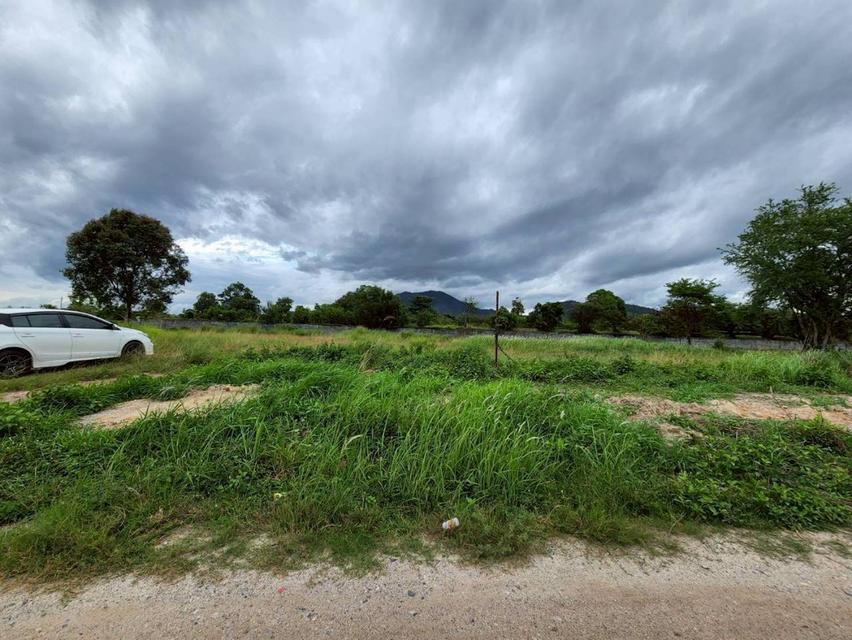 ขายที่ดิน 1 ไร่ถมแล้ว ติดถนนสาธารณะ ตำบลเพ อำเภอเมืองระยอง 1