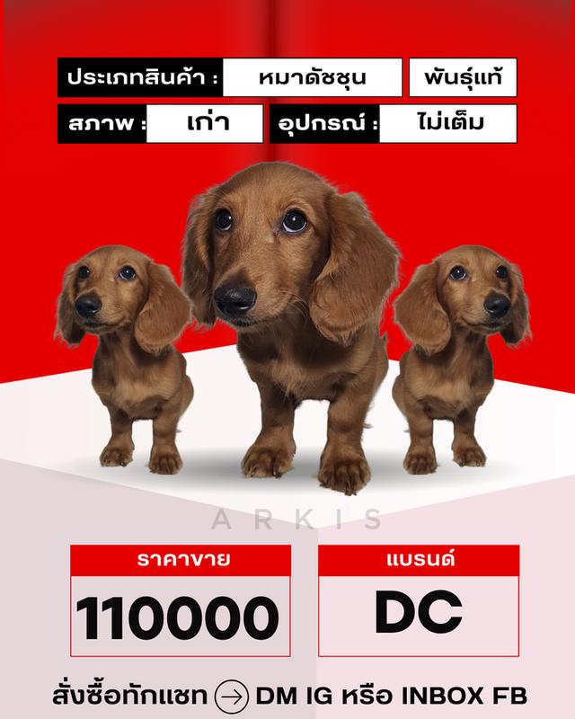 หมามึน