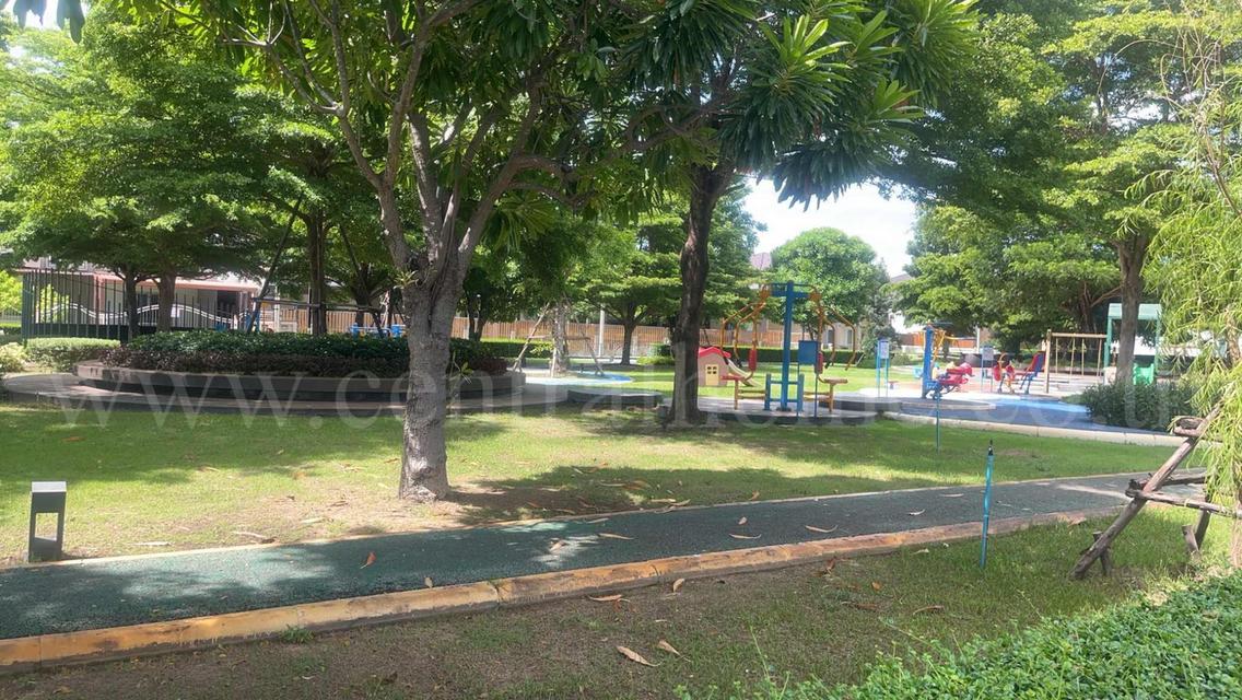 บ้านเดี่ยว ซื่อตรง โคซี่ เดอะ พีค รังสิต คลอง 6 ปทุมธานี 13