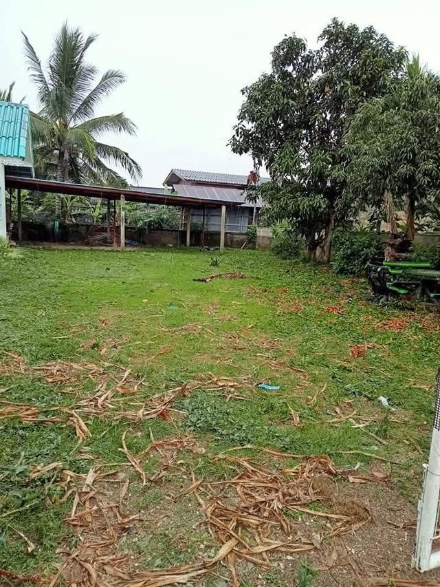 ขายบ้านเดี่ยว 2 ชั้น เนื้อที่ 159.1 ตรว. (ใกล้สถานีรถไฟป่าแดด) ซ.ทุ่งศรีทอง 3 ต.โรงช้าง อ.ป่าแดด จ.เชียงราย 7